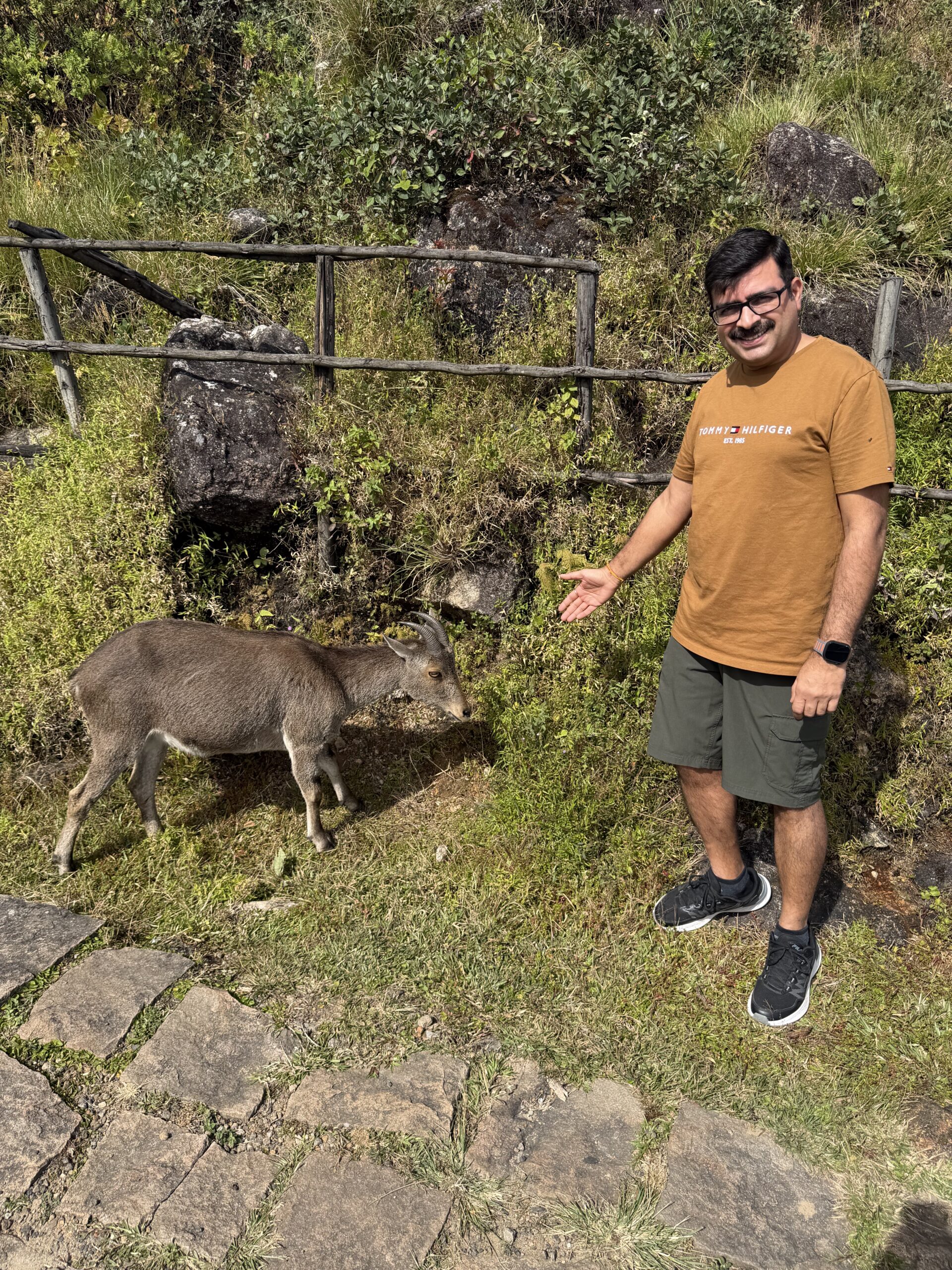 Pundit Pramod Shastri ji with Neel Cow, Eravikulam Park Kerla